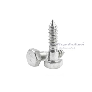 เกลียวปล่อยหัวเหลี่ยมสแตนเลส 1/2" (12.7 mm) 4 หุน สกรูเกลียวปล่อยหัวเหลี่ยมสแตนเลส Stainless Steel Hexagon Head Screw