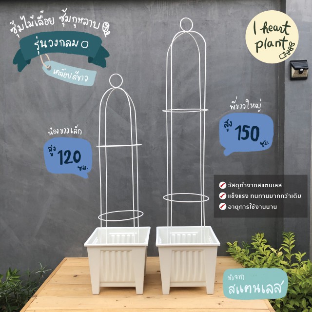 ทำจากสแตนเลส ซุ้มไม้เลื้อย ซุ้มกุหลาบ รูปวงกลม เคลือบสีขาว อย่างดี ไม่เป็นสนิม (ถอดประกอบ)