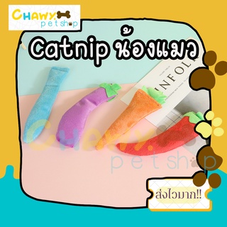 catnip ตุ๊กตาแคทนิบ ของเล่นแมวแคทนิบ catnip