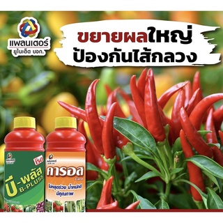 บี-พลัส+คารอส ชุดเร่งผลช่วงขยายผลให้ใหญ่น้ำหนักดีป้องกันไส้กรวง