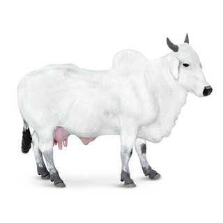 Safari Ltd. : SFR100150 โมเดล Ongole Cow