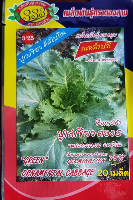 เมล็ด ปูเล่เขียว พันธุ์อเมริกา  (20 เมล็ด)