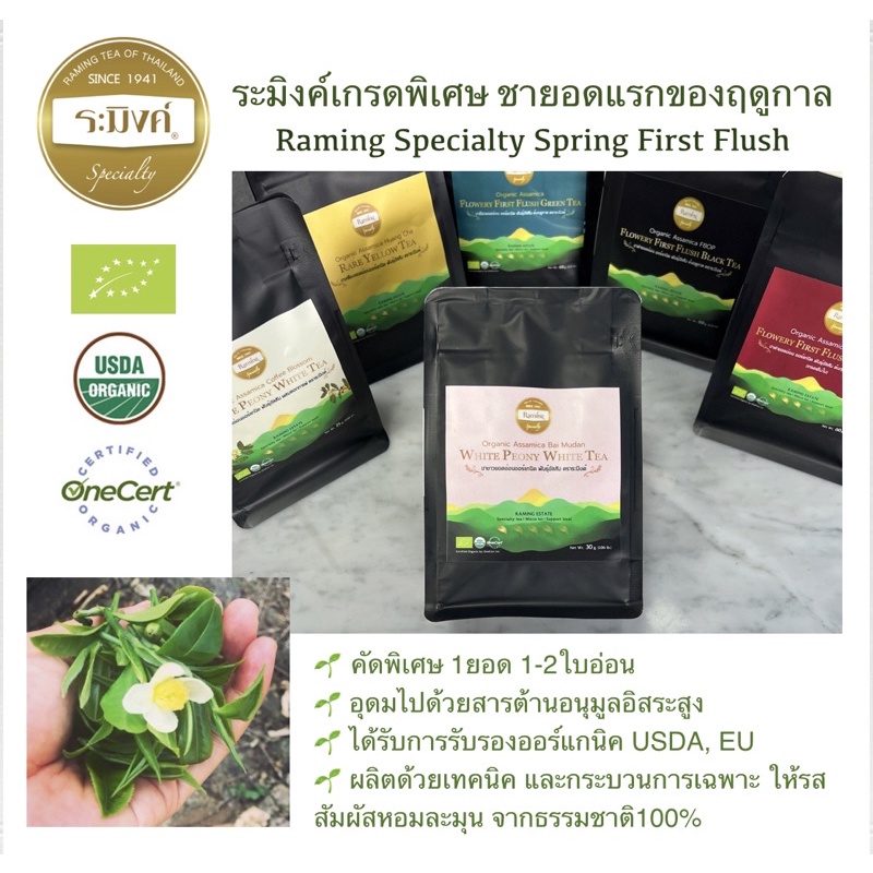 ระมิงค์ ชาออร์แกนิคเกรดพิเศษพันธุ์อัสสัม คัดยอดอ่อน ยอดแรกของฤดูกาล Organic spring first flush tea