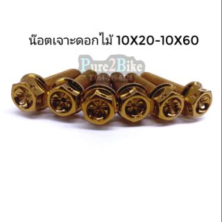 น๊อตเจาะดอกไม้ ทอง 10x20-10x60 เบอร์ 14