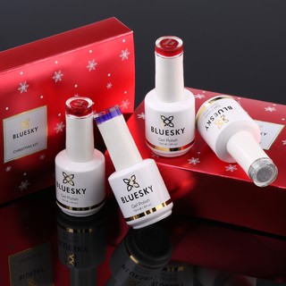 สีเจล ชุดเซ็ท คริสมาส สุดคุ้ม BLUESKY Christmas kit