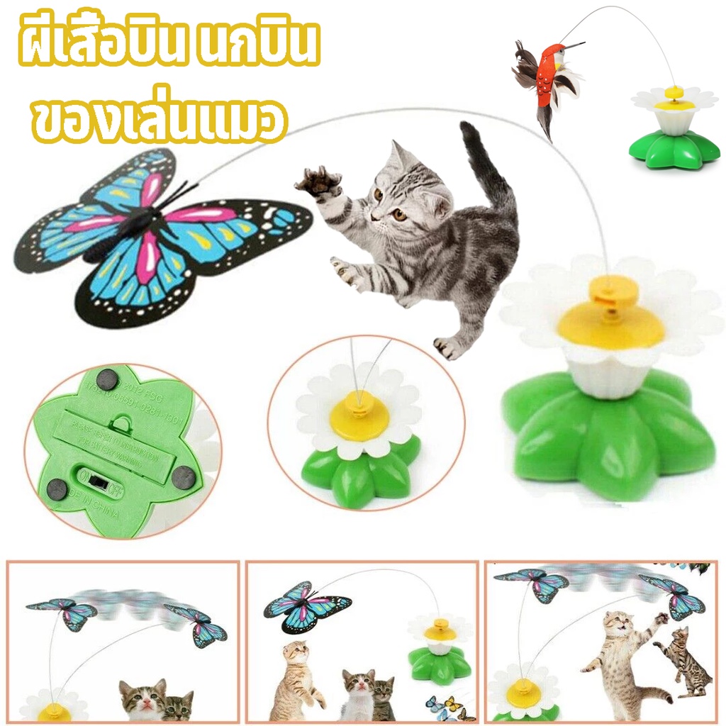 COD พร้อมส่ง ผีเสื้อบิน นกบิน ของเล่นแมว ผีเสื้อล่อแมว นกล่อแมว ใส่ถ่าน AAA บินอัตโนมัติ – โปรปัง