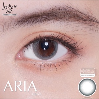 Aria gray พร้อมส่งสายตาปกติและค่าสายตา (lovelysoft)