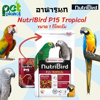 [1kg.] อาหารนก Versele Laga Nutribird P15  อาหารสำหรับ นกแก้ว แอฟริกันเกรย์ มาคอร์ กระตั้ว