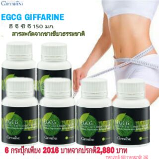 สารสะกัดจากชาเขียว อี จี ซี จี | EGCG Green Tea Extract Capsule