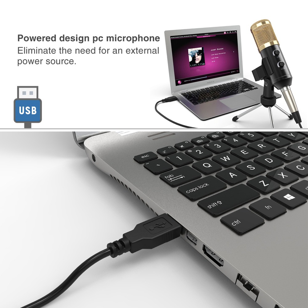 Ultra-low Noise Echo Reverb Microphone USB Condenser Microphone For ...