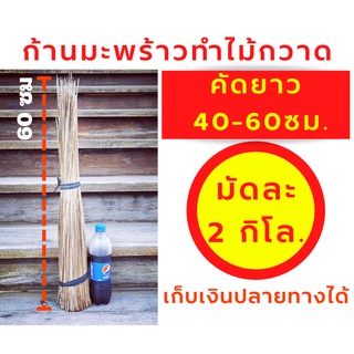 ก้านทางมะพร้าวทำไม้กวาด ยาว 40ซม ถึง 60ซม 2 กิโลกรัม ก้านเหลาใหม่ ไม่ผุ ไม่ชื้น ไม่ขึ้นรา เก็บเงินปลายทางได้