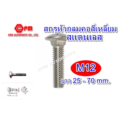 สกรูหัวกลมคอสี่เหลี่ยมสแตนเลส ขนาด M12 ยาว 25-70 mm.