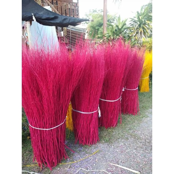 หญ้าขัดมอญพ่นตกแต่งสวน