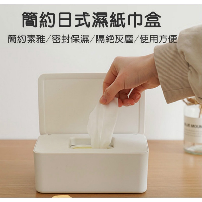 muji wet mop