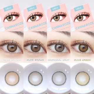 IDOLLENS คอนแทคเลนส์เกาหลีรายปี Canna Roze Beige, Nude, Olive, Charcoal DIA - 14.0mm