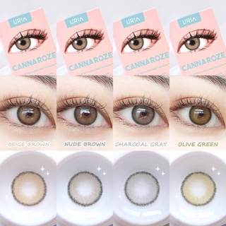 IDOLLENS คอนแทคเลนส์เกาหลีรายปี Canna Roze Beige, Nude, Olive, Charcoal DIA - 14.0mm