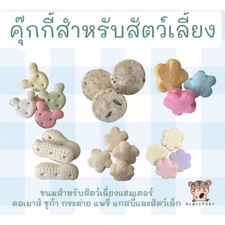 ขนมคุ๊กกี้สำหรับสัตว์เล็ก แฮมเตอร์ ชูก้า ดอเมาส์ กระต่าย แพรี่ด็อก