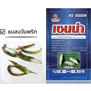 เซนน่า☣️สารไทอะมีทอกแซม25%❌กำจัดแมลงวันทอง❌เพลี้ยไฟ❌เพลี้ยแป้ง❌เพลี้ยกระโดดสีน้ำตาล☘️พืชใบงิกงอผลเน่าเกิดจากแมลงเข้าทำลา