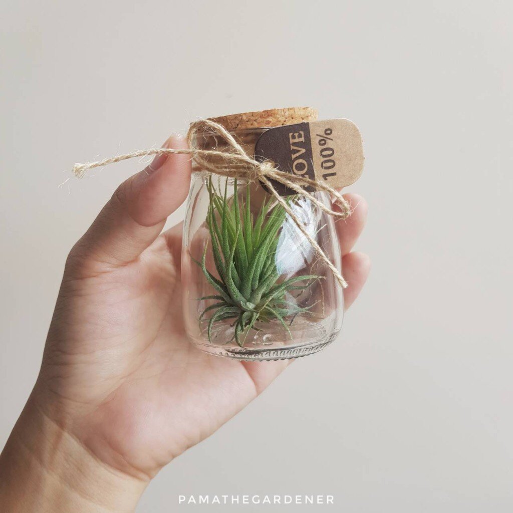 มุมมอง 2