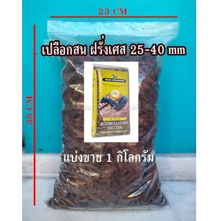 เปลือกสน ฝรั่งเศส 25-40 mm 1กิโล French Tree Bark Nuggets 25-40 mm