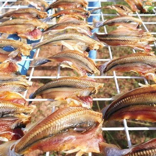 (ร้านพอเพียงเจ้าเก่า) ปลาหัวโม่ง (แบบโล)ตากแห้ง ส่งตรงจากชุมชน