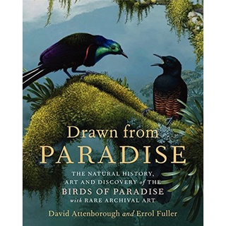 Drawn from Paradise : The Natural History, Art and Discovery of the Birds of Paradise