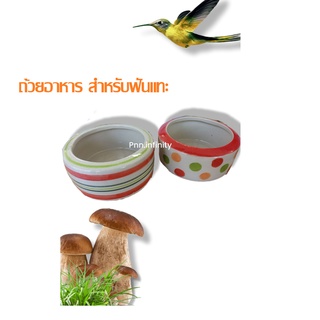 ชามอาหารสัตว์เซรามิค ถ้วยเซรามิคอาหารสัตว์ หลายขนาด  ใส่อาหารและน้ำ สัตว์เลี้ยง