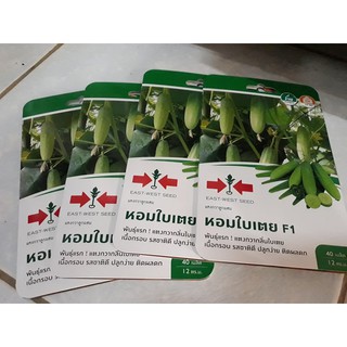 แตงกวาลูกผสมหอมใบเตย,4ซอง100บาท