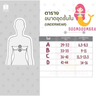 บราผีเสื้อ บราปีกผีเสื้อ บราปีกนก บราไร้สาย พร้อมส่งของอยู่ไทย