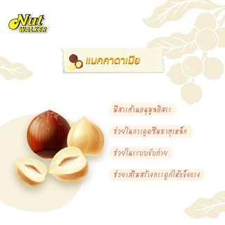 นัท วอล์คเกอร์ แมคคาเดเมียอบ 140 ก. Nut Walker Roasted Unsalted Macadamias 140 g.