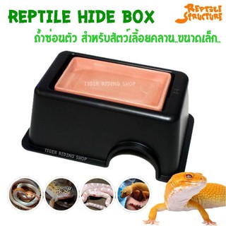 Reptile Hide Box ถ้ำซ่อนตัว สำหรับสัตว์เลื้อยคลานขนาดเล็ก