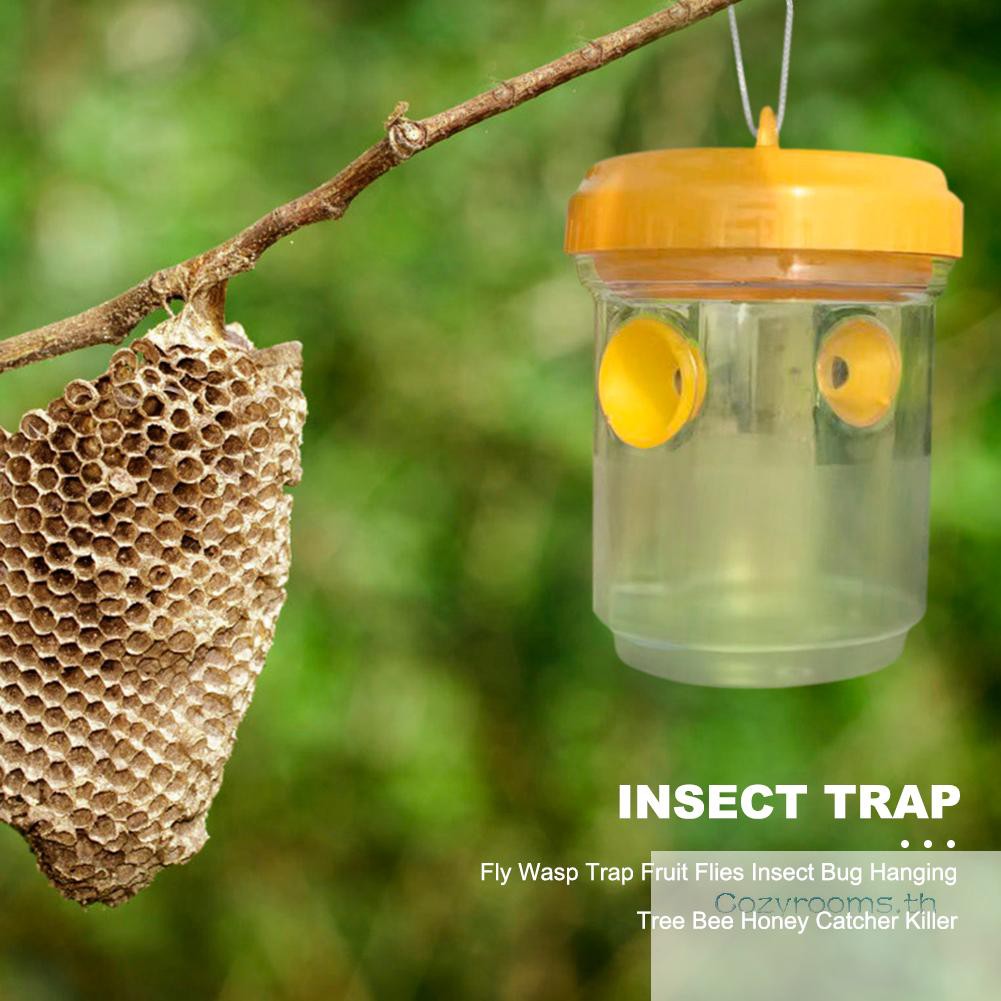 honey fly trap