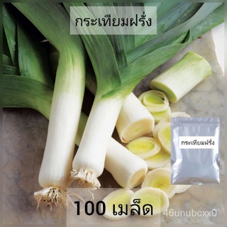 （คุณภาพสูง เมล็ด）เมล็ดพันธุ์ กระเทียมฝรั่ง100เมล็ด/ง่าย ปลูก สวนครัว เมล็ด OQXD