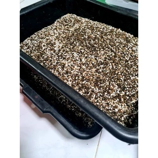 ดินปลูกแคคตัส🌵สูตรโปร่งมาก+เร่งดอก🌸พร้อมปลูก1 kg.🏆ตรงปก🏆(รากเดินดี เร่งดอก แคคตัส ไม้อวบน้ำบัวบกโขด และต้นไม้อื่นๆ