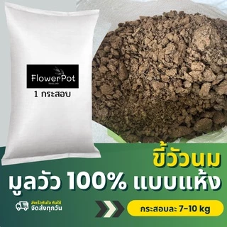 ขี้วัวนม มูลวัว 100% แบบแห้ง บรรจุ 7-10 กิโลกรัม ปุ๋ยคอก ขี้วัวแห้ง