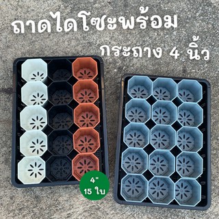 ถาดไดโซะ ถาดทึบ ถาดรู+กระถางต้นไม้ 4 นิ้ว 15 ใบ  กระถางมี 4 สี ขาว ดำ เทา อิฐ