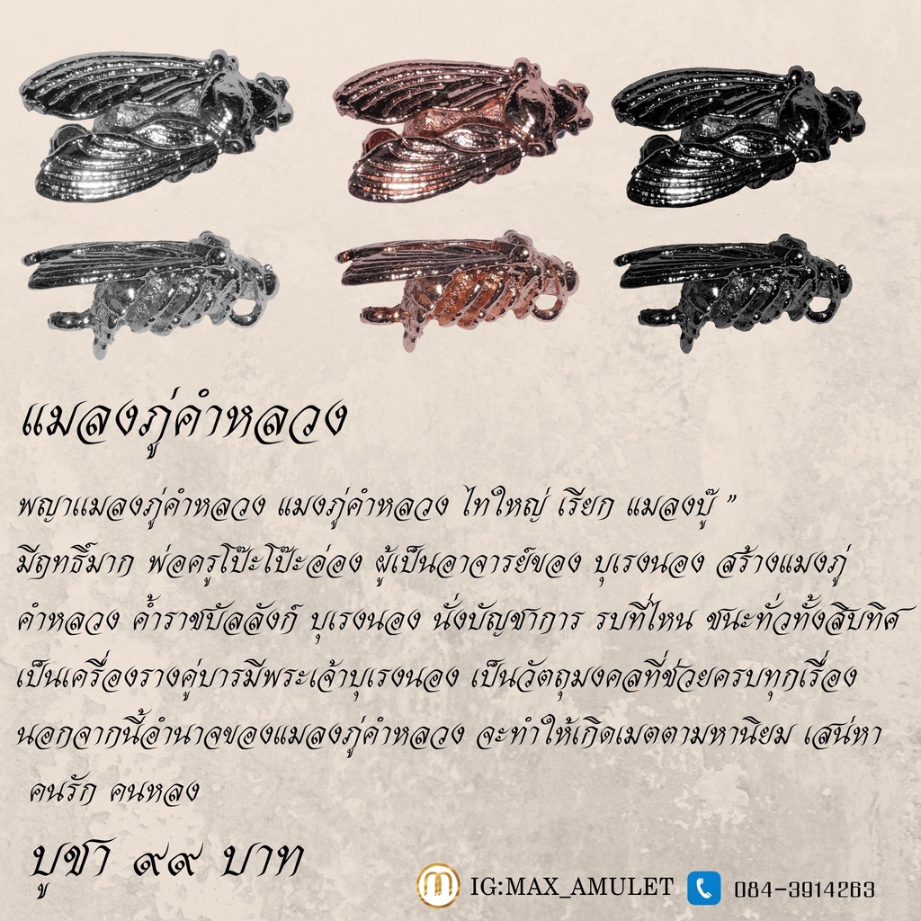 พญาแมลงภู่คำหลวง"ตัวจิ๋ว"