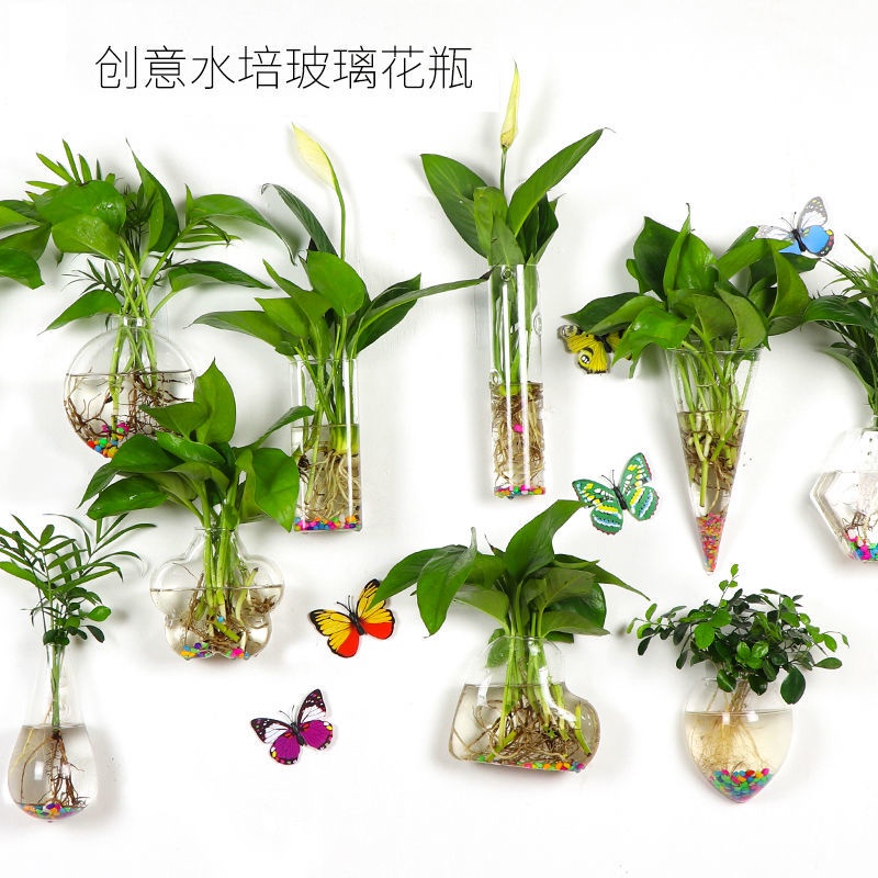 My Image 26