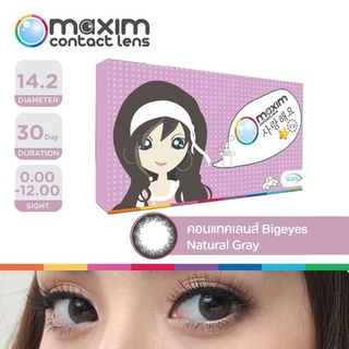 MAXIM Contact Lens สี natural gray