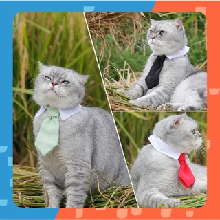 [🚚 พร้อมส่ง] เนคไทสัตว์เลี้ยง Gentleman Pet Tie เนคไท เครื่องประดับสัตว์เลี้ยง โบว์แมว