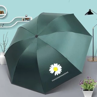 ร่มกันฝน โดนน้ำเปลี่ยนลายดอกไม้ ร่มกันแดด รุ่นผ้า2ชั้น กันยูวี UV พับได้ uvUmbrella No. UV3864