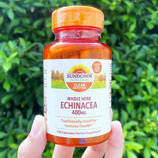 สมุนไพรเอ็กไคนาเซีย Whole Herb Echinacea 400 mg 100 แคปซูล (Sundown Naturals) เสริมเพิ่มภูมิต้านทาน