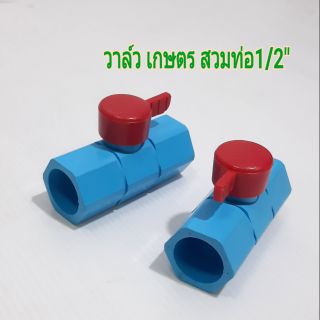 วาล์ว เกษตร CK สวมท่อ1/2" ทั้ง2ข้าง [1ตัวนะค่ะ]
