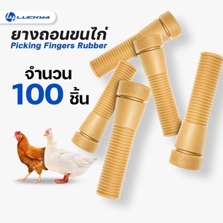 ยางถอนขนไก่ // จำนวน 100 ชิ้น // เกรดเอ ทนทาน ใช้งานได้นาน สีน้ำตาล // ขนาด 1.1 นิ้ว x 3.7 นิ้ว