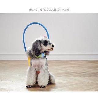 ห่วงกันชน สำหรับ สุนัขตาบอด (Blind Dog Halo) [พร้อมส่ง]