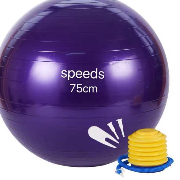 Gymball Speeds 65, 75 cm / Gym ball / Gymball ลูกบอลโยคะ 55cm, 65cm, 75cm (Pump Bonus)