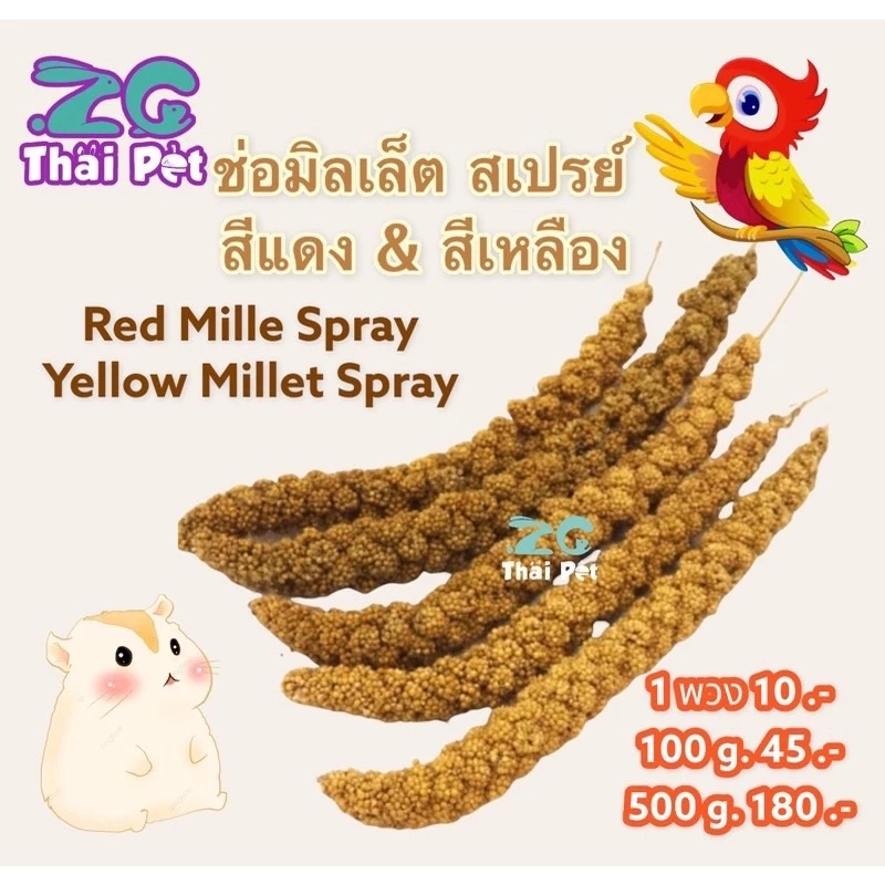 มิลเล็ต สเปรย์ พวงมิลเล็ตสเปรย์ Millet Spray สำหรับสัตว์เลี้ยงฟันแทะ หนูแฮมเตอร์ นก