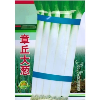 เมล็ดต้นหอมญี่ปุ่น 1,500 เมล็ด ( 4.5 - 5 กรัม ) Japanese Bunching Onion สายพันธุ์OP