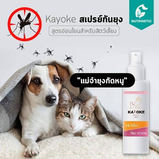 Kayoke สเปรย์กันยุง ปกป้องนาน 16 ชั่วโมง สูตรอ่อนโยน สำหรับสัตว์เลี้ยง สุนัข แมว ขนาด 120ml