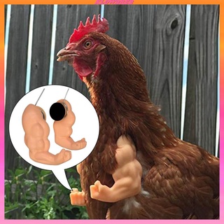 แขนไก่ ของเล่นแกล้งให้ไก่สวมแขนตุ๊กตา สําหรับไก่